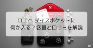 付属品全て有り】ロエベ ダイスポケット※値下げしました 2025年